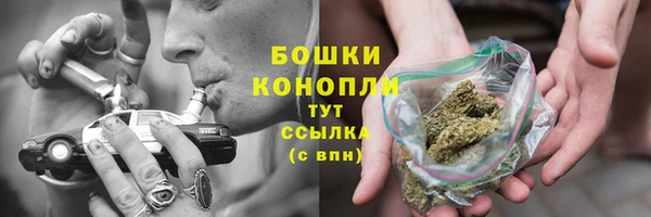ПСИЛОЦИБИНОВЫЕ ГРИБЫ Аркадак