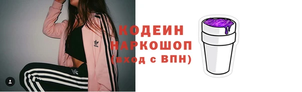 молекула духа Арсеньев