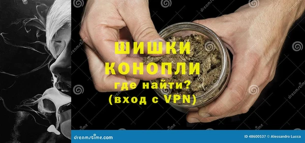 ПСИЛОЦИБИНОВЫЕ ГРИБЫ Аркадак